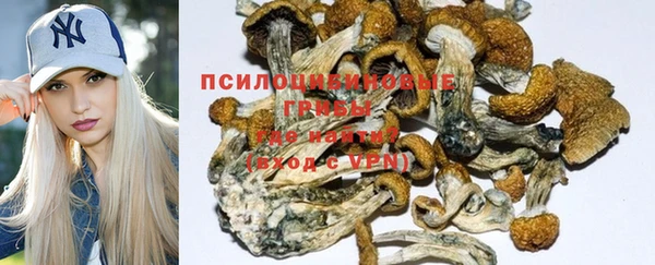 apvp Алзамай
