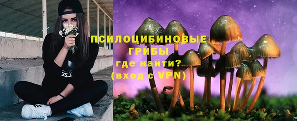 PSILOCYBIN Алексин